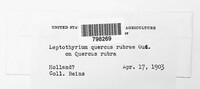 Image Associated With the Occurence